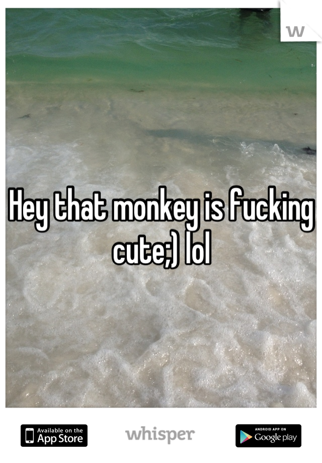 Hey that monkey is fucking cute;) lol