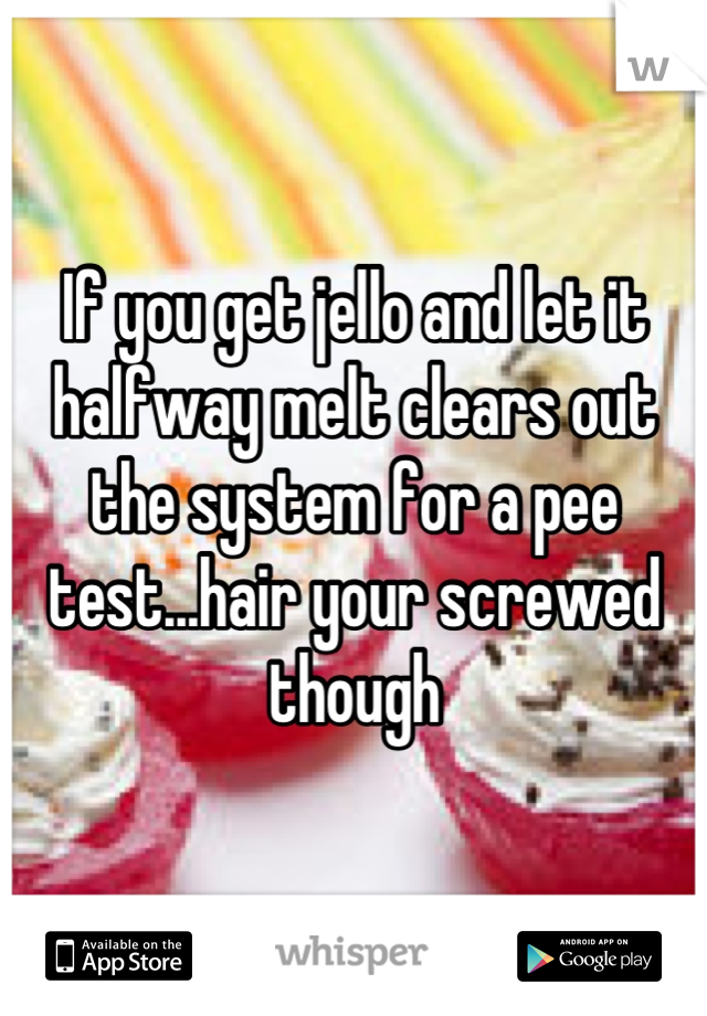 If you get jello and let it halfway melt clears out the system for a pee test...hair your screwed though