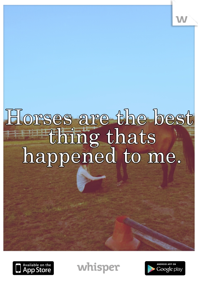 Horses are the best thing thats happened to me.