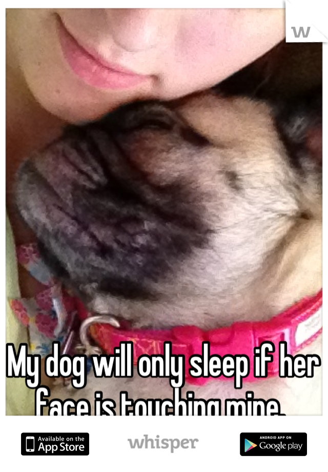 My dog will only sleep if her face is touching mine. 