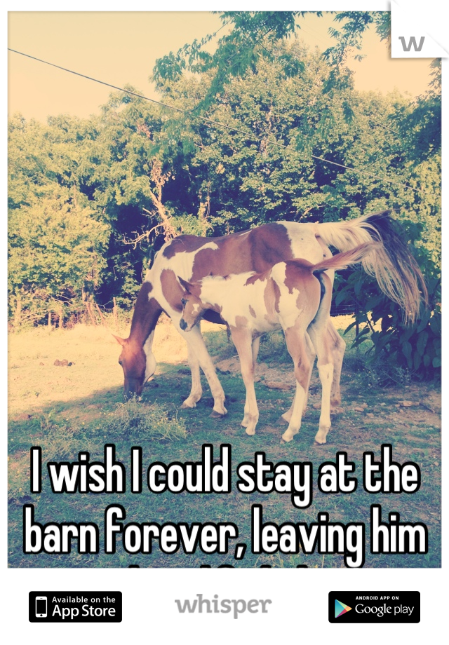 I wish I could stay at the barn forever, leaving him and my life behind.