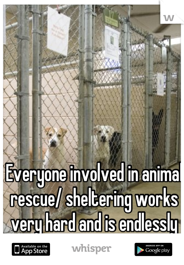 Everyone involved in animal rescue/ sheltering works very hard and is endlessly bad mouthed.