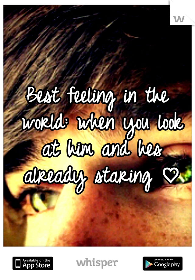 Best feeling in the world: when you look at him and hes already staring ♡