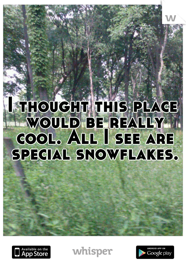 I thought this place would be really cool. All I see are special snowflakes.