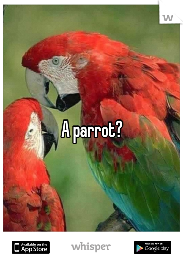 A parrot?