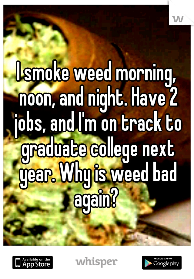 I smoke weed morning, noon, and night. Have 2 jobs, and I'm on track to graduate college next year. Why is weed bad again? 