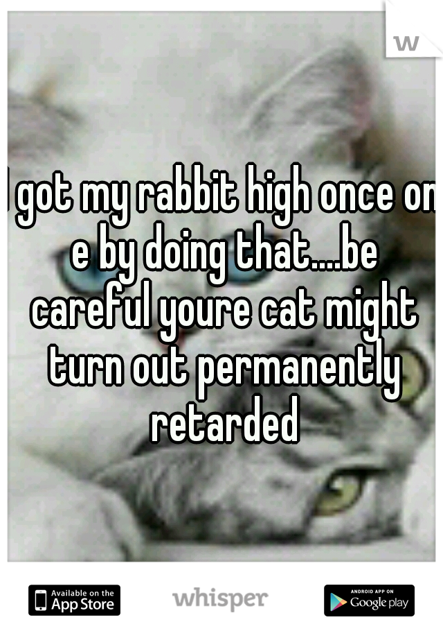 I got my rabbit high once on e by doing that....be careful youre cat might turn out permanently retarded