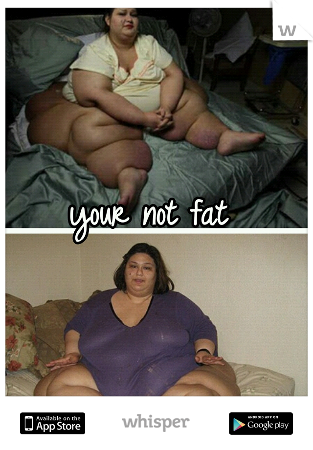 your not fat 