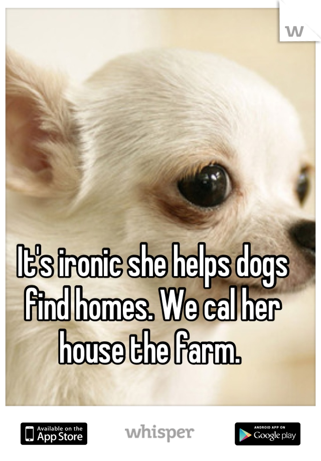 It's ironic she helps dogs find homes. We cal her house the farm. 