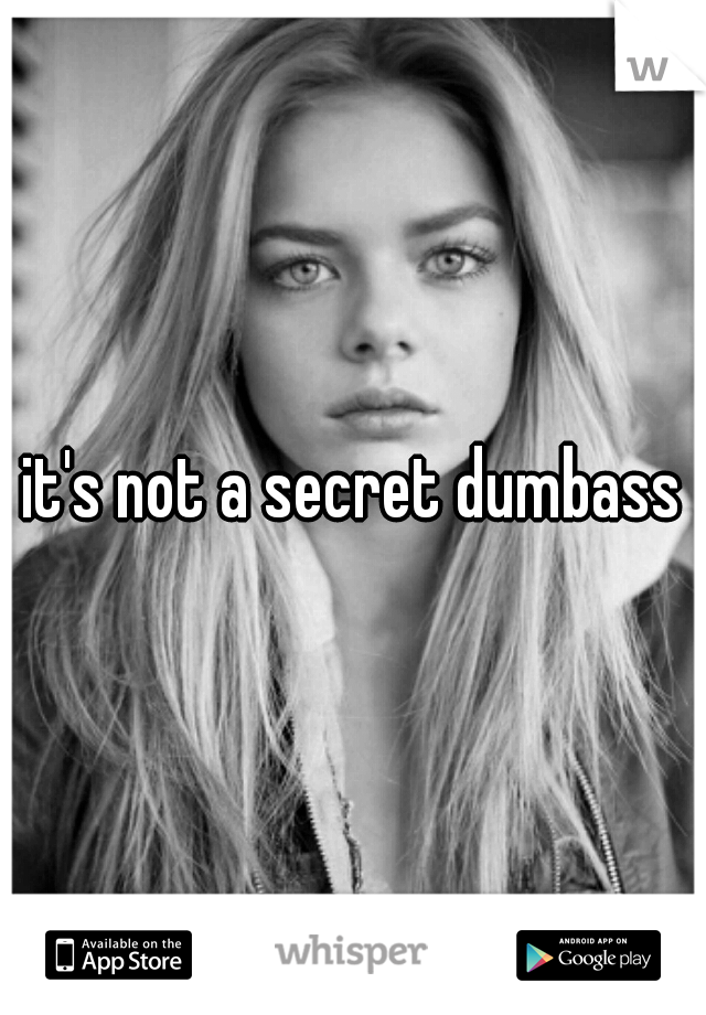 it's not a secret dumbass