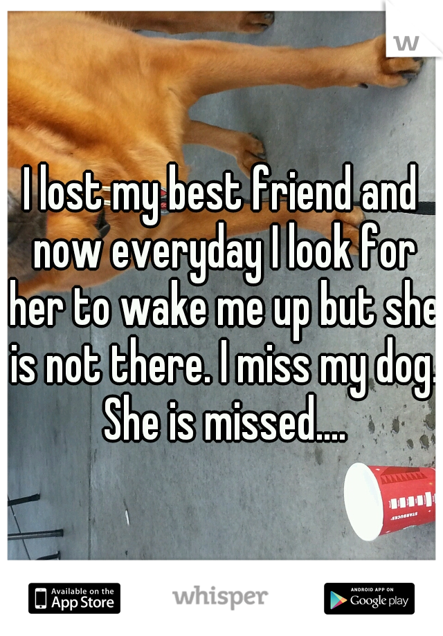I lost my best friend and now everyday I look for her to wake me up but she is not there. I miss my dog. She is missed....