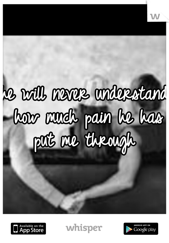 he will never understand how much pain he has put me through 