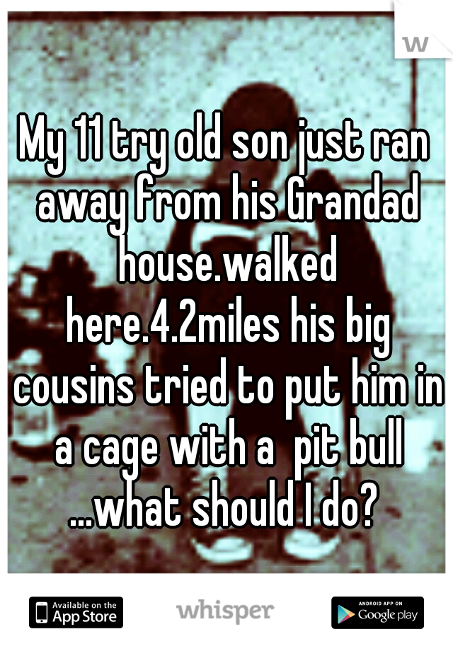 My 11 try old son just ran away from his Grandad house.walked here.4.2miles his big cousins tried to put him in a cage with a  pit bull ...what should I do? 