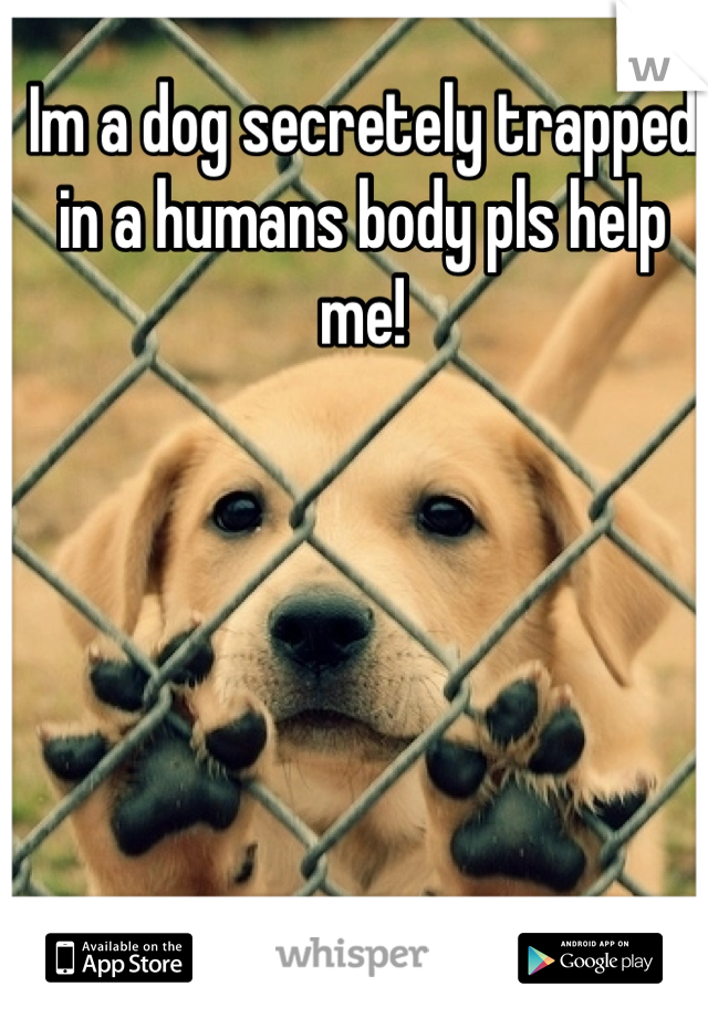Im a dog secretely trapped in a humans body pls help me!