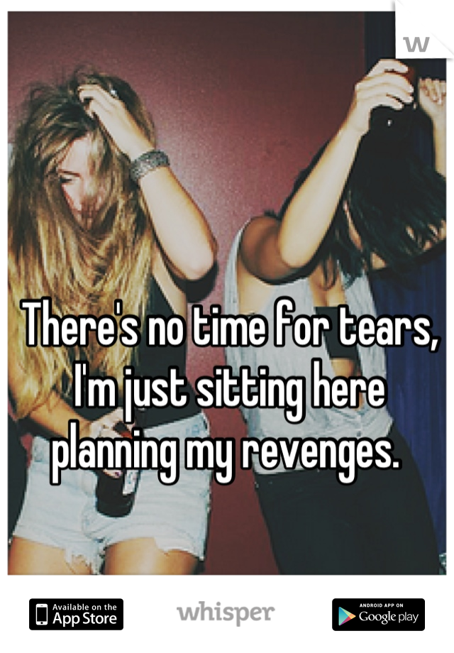 There's no time for tears, I'm just sitting here planning my revenges. 