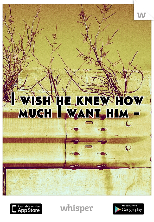 I wish he knew how much I want him -