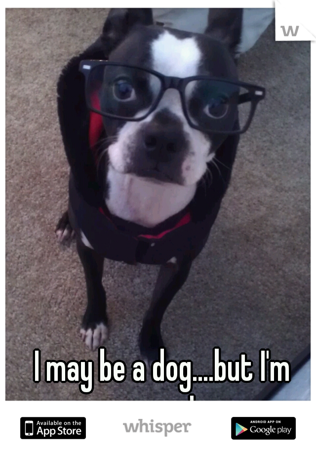 I may be a dog....but I'm smart