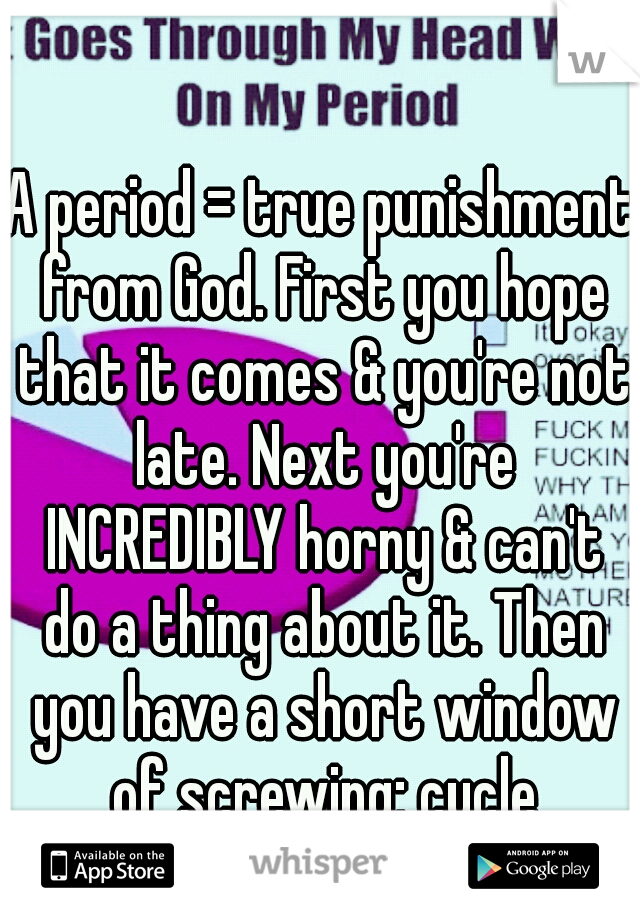 A period = true punishment from God. First you hope that it comes & you're not late. Next you're INCREDIBLY horny & can't do a thing about it. Then you have a short window of screwing; cycle repeats.