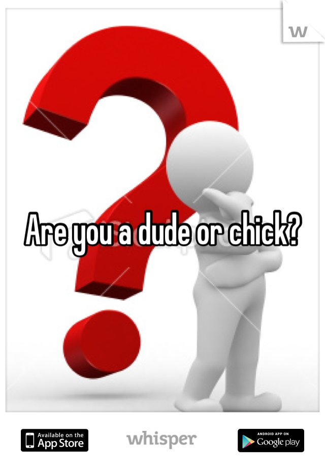 Are you a dude or chick?