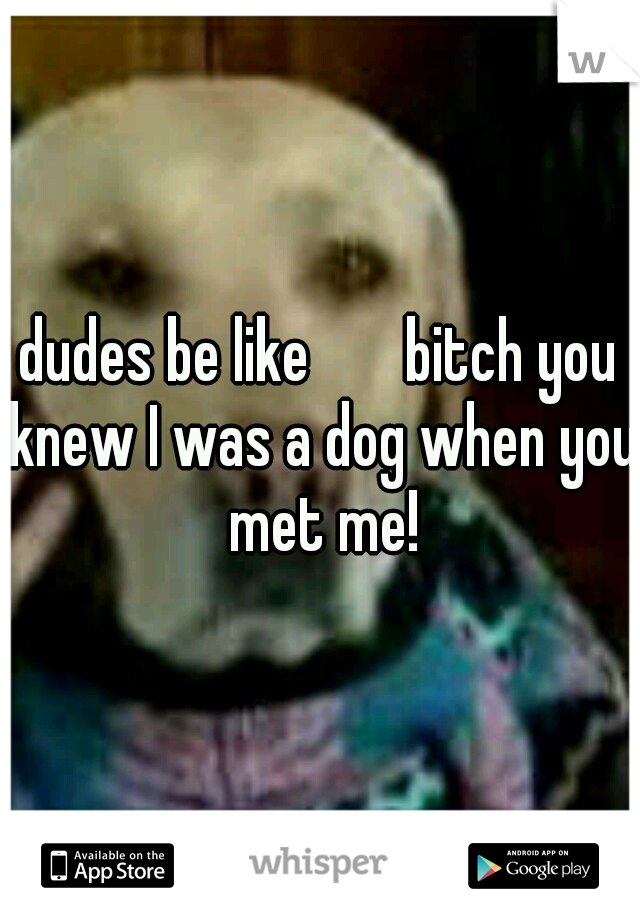 dudes be like


bitch you knew I was a dog when you met me!