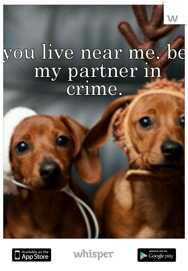 you live near me. be my partner in crime. 