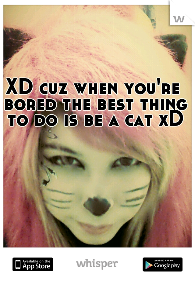 XD cuz when you're bored the best thing to do is be a cat xD