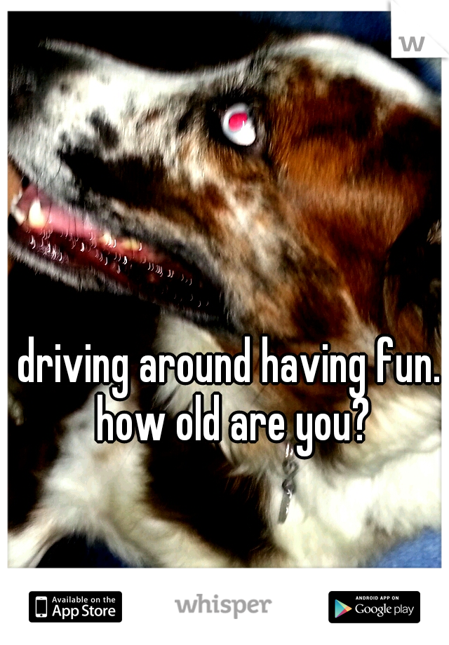 driving around having fun. how old are you?