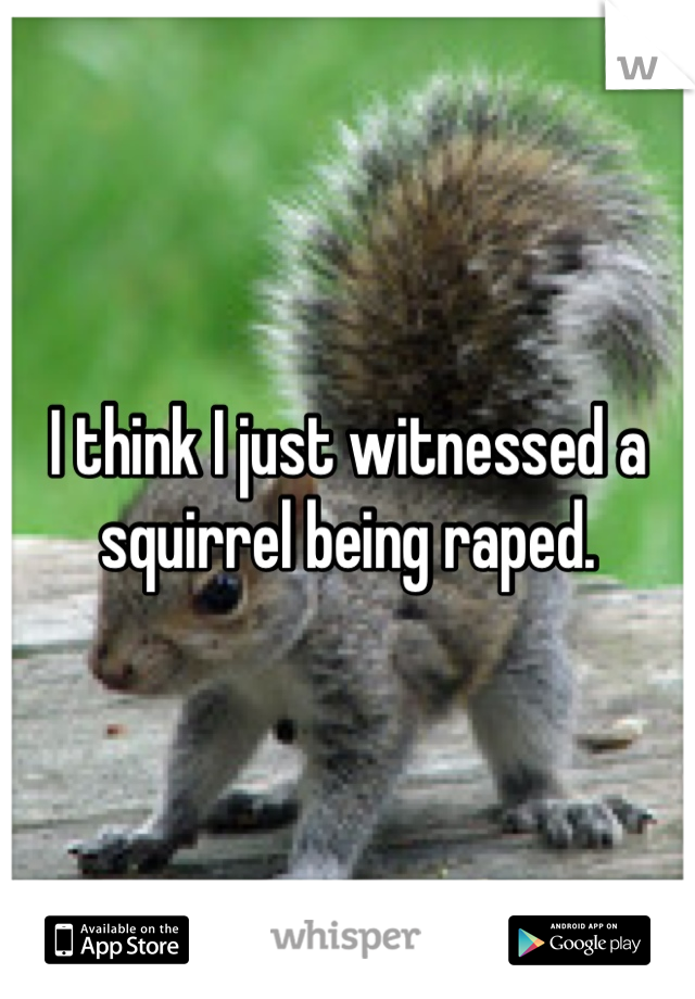 I think I just witnessed a squirrel being raped.