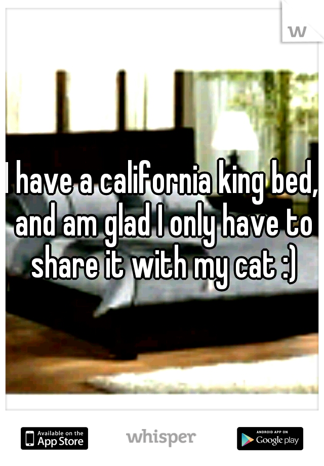 I have a california king bed, and am glad I only have to share it with my cat :)