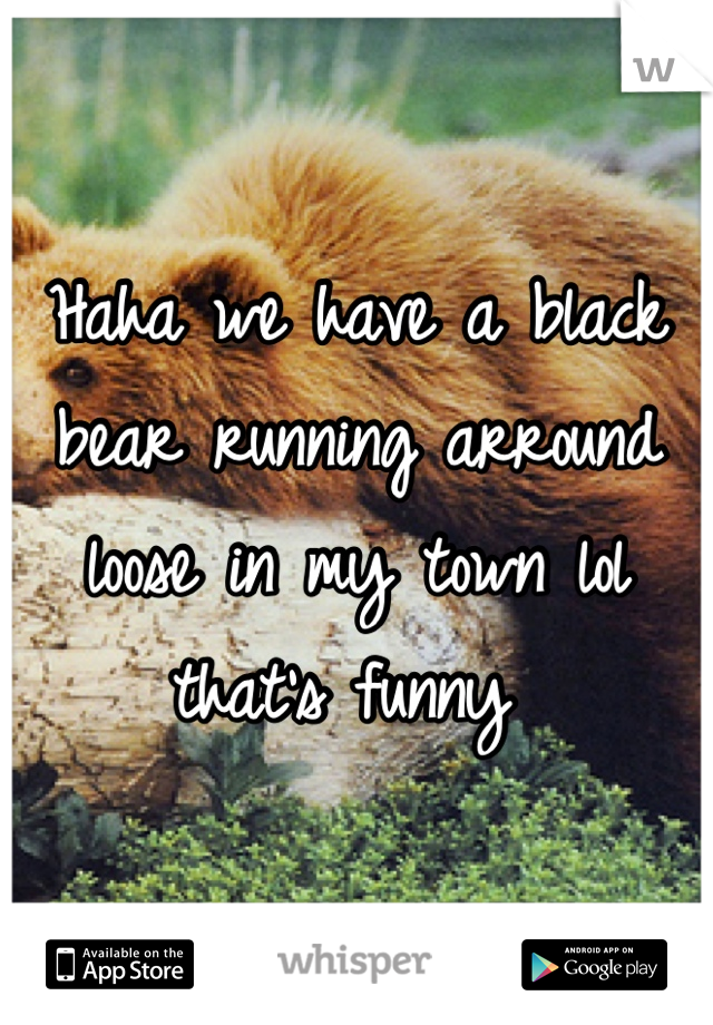 Haha we have a black bear running arround loose in my town lol that's funny 