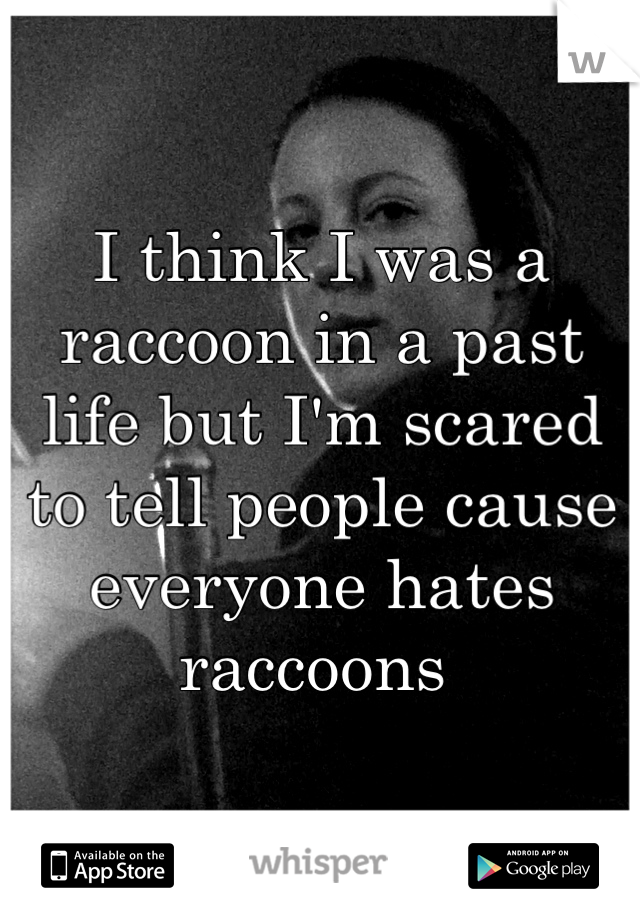 I think I was a raccoon in a past life but I'm scared to tell people cause everyone hates raccoons 