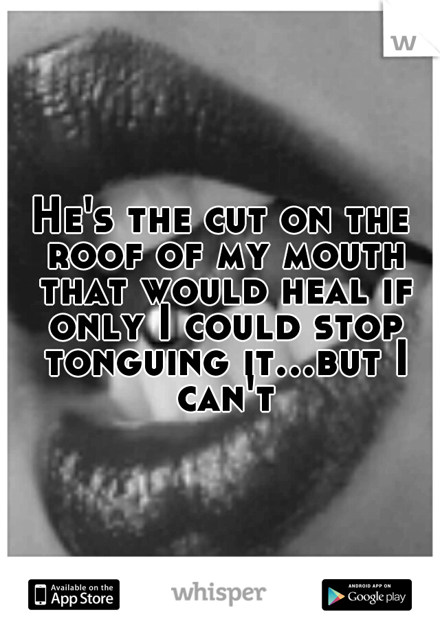 He's the cut on the roof of my mouth that would heal if only I could stop tonguing it...but I can't