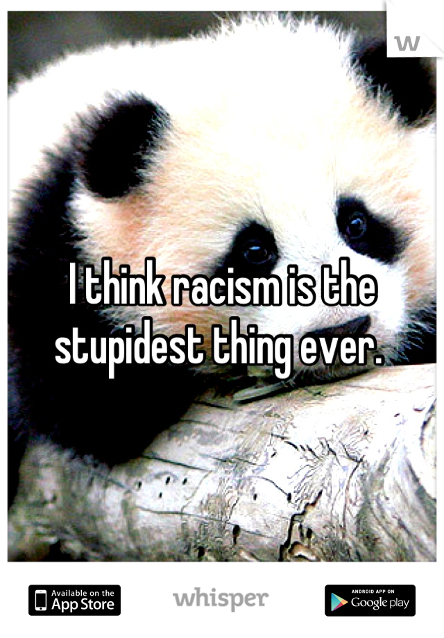 I think racism is the stupidest thing ever. 