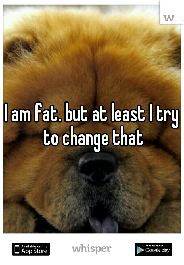 I am fat. but at least I try to change that