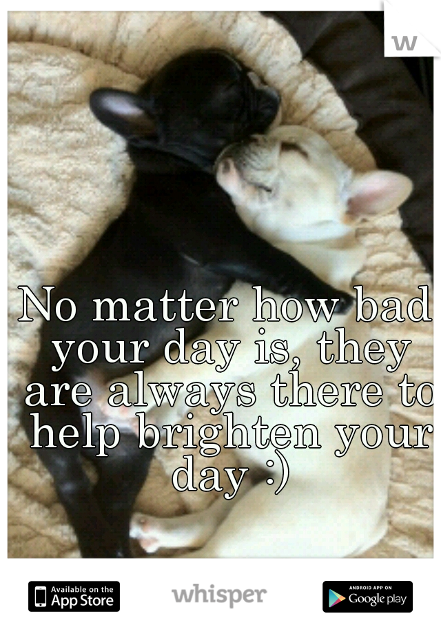 No matter how bad your day is, they are always there to help brighten your day :)