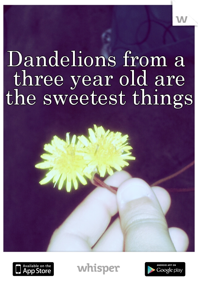 Dandelions from a three year old are the sweetest things.