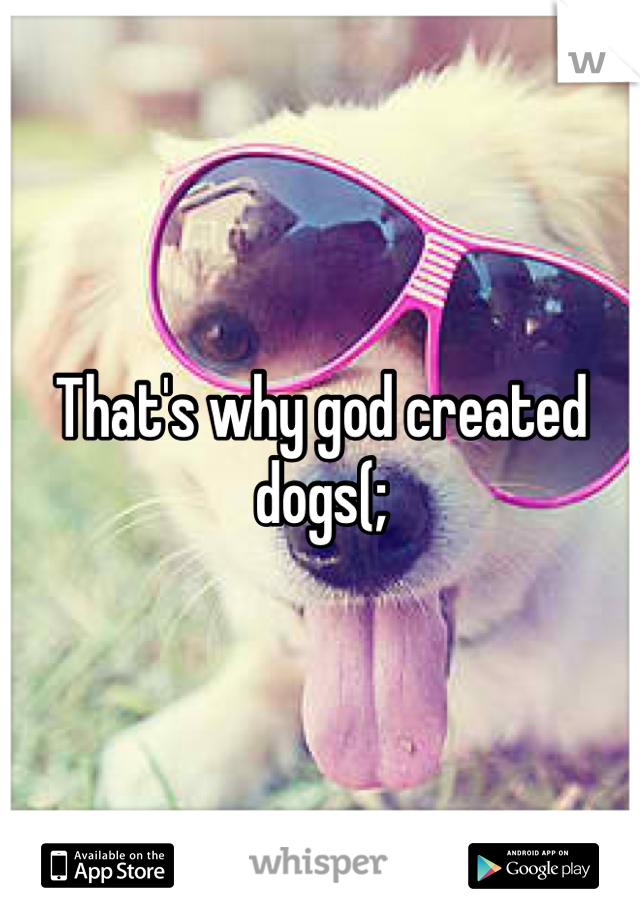 That's why god created dogs(;