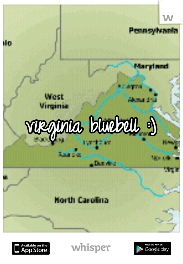 virginia bluebell :)