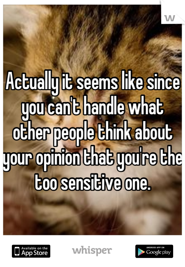 Actually it seems like since you can't handle what other people think about your opinion that you're the too sensitive one.