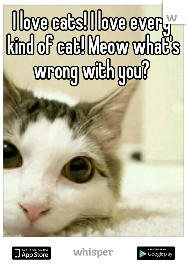 I love cats! I love every kind of cat! Meow what's wrong with you? 