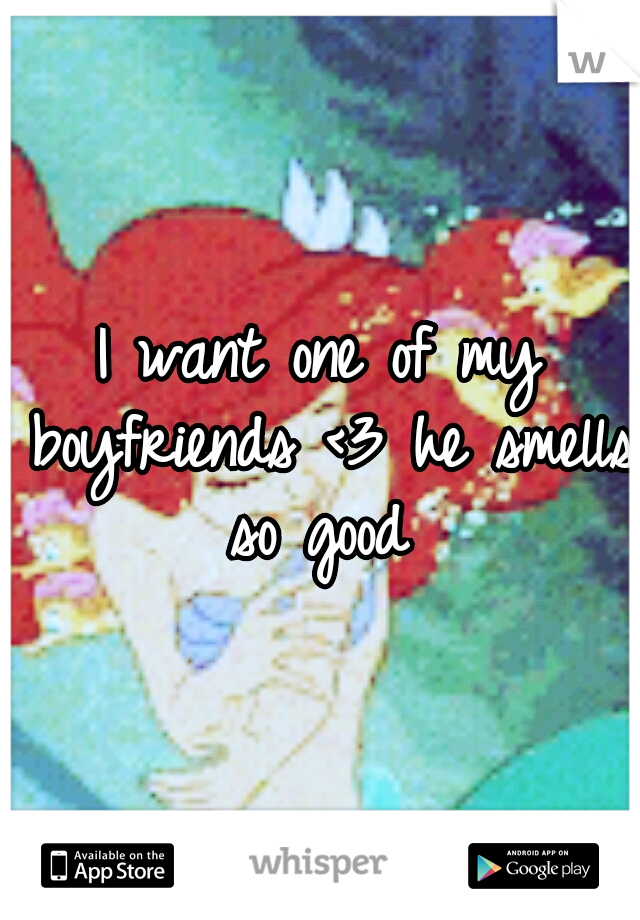 I want one of my boyfriends <3 he smells so good 