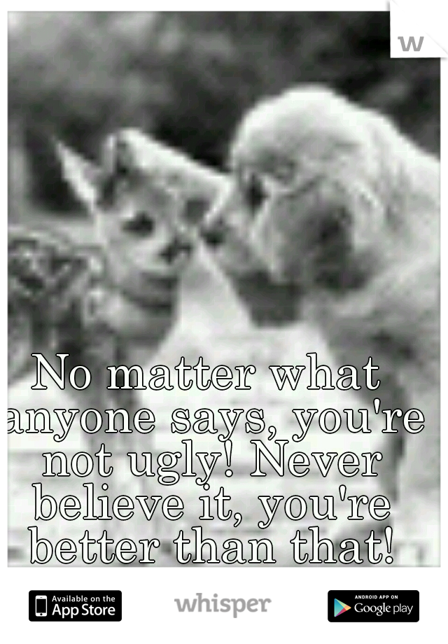 No matter what anyone says, you're not ugly! Never believe it, you're better than that!