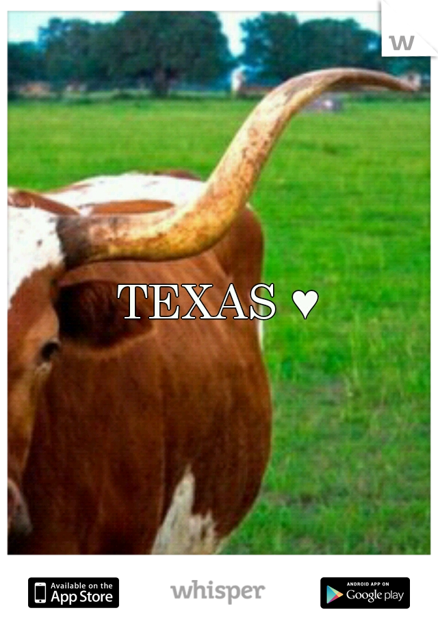 TEXAS ♥