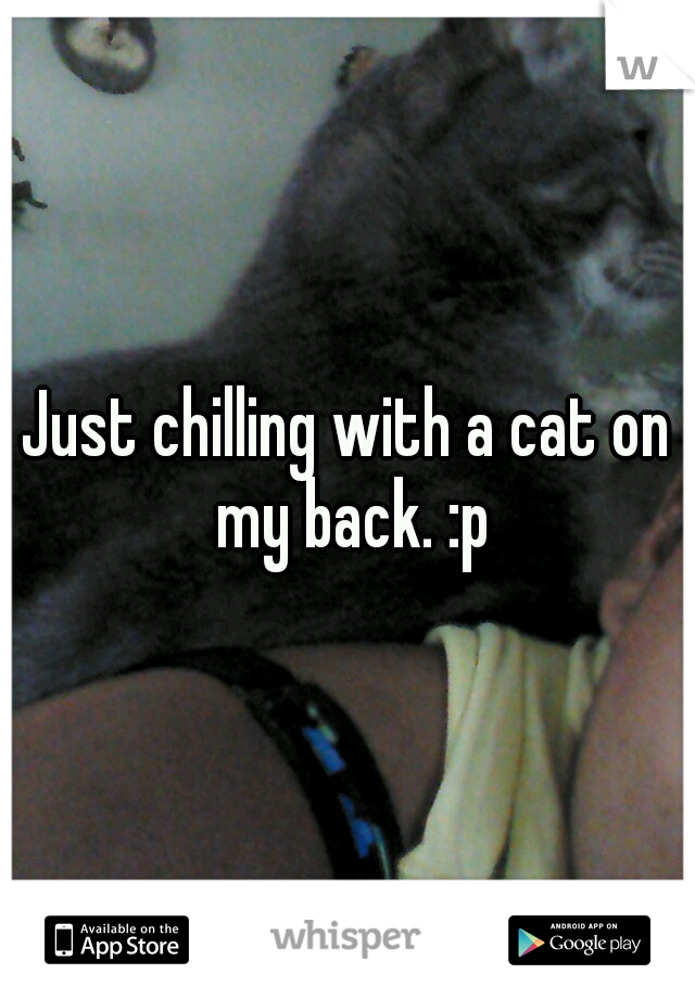 Just chilling with a cat on my back. :p