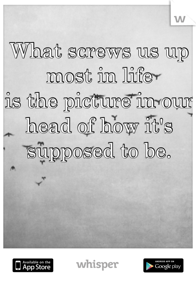 What screws us up most in life
is the picture in our head of how it's supposed to be.