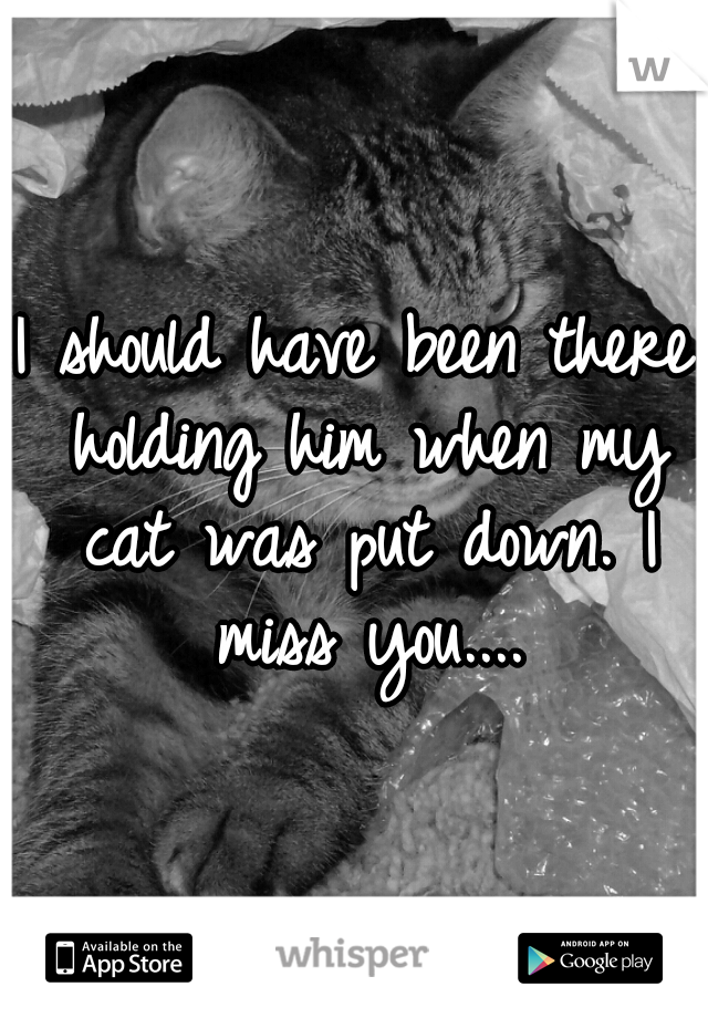 I should have been there holding him when my cat was put down. I miss you....