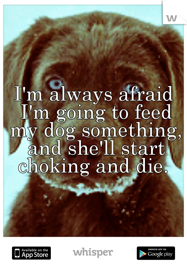 I'm always afraid I'm going to feed my dog something, and she'll start choking and die. 