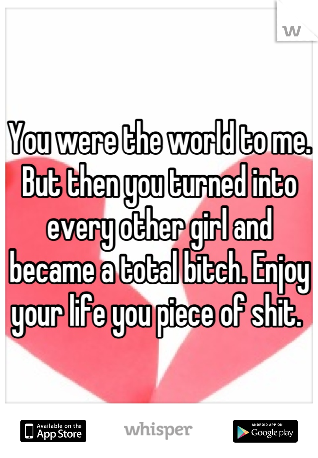 You were the world to me. But then you turned into every other girl and became a total bitch. Enjoy your life you piece of shit. 