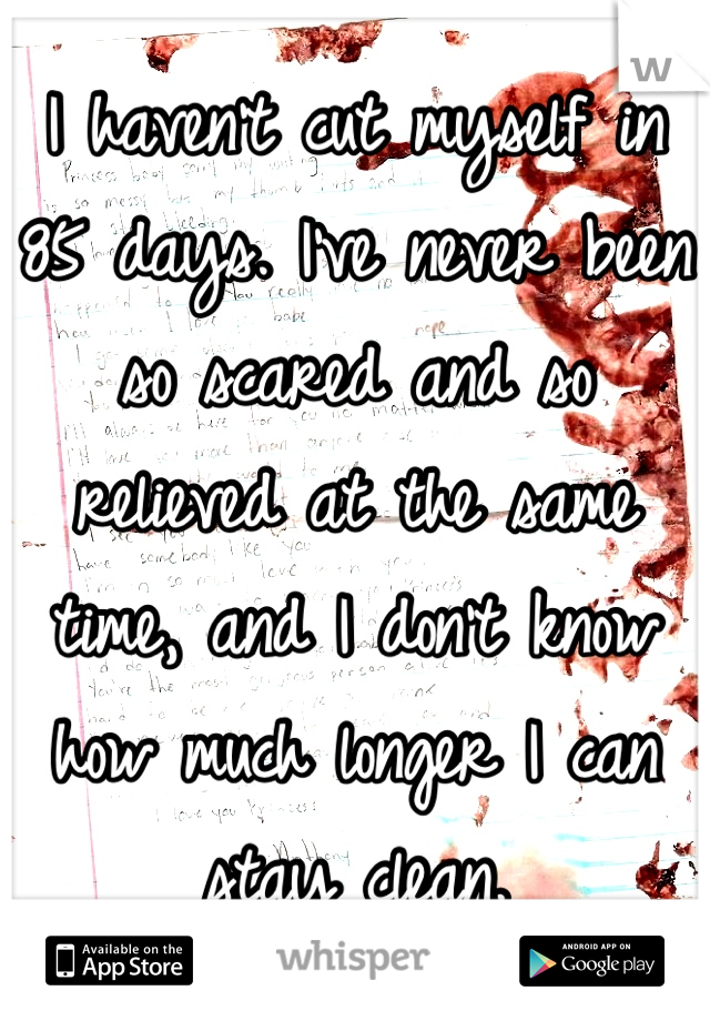 I haven't cut myself in 85 days. I've never been so scared and so relieved at the same time, and I don't know how much longer I can stay clean.