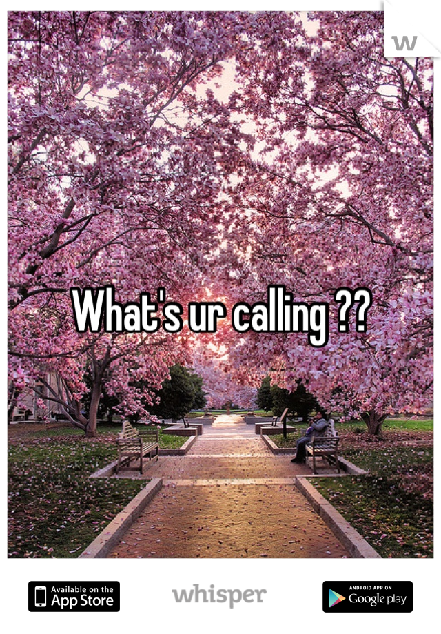 What's ur calling ??
